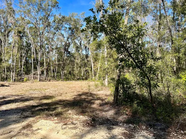 56 NE 743rd St, Old Town, FL 32680