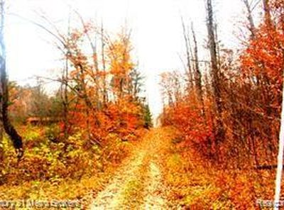 0 Six Pack Trl, Glennie, MI, 48737