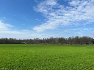 Chippewa Rd, Medina, OH 44256