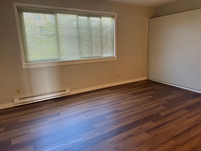Living room window