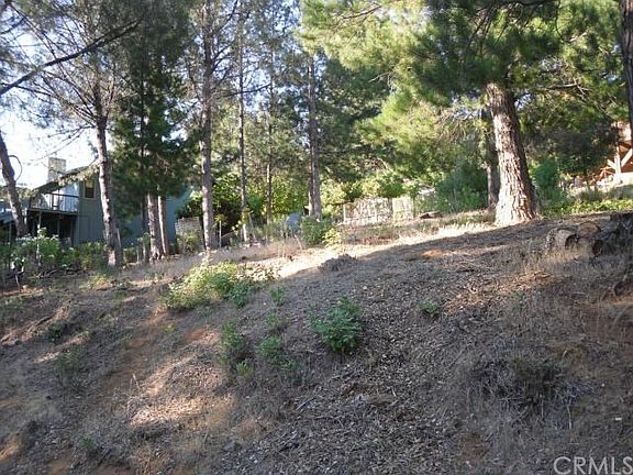 4th image of 3565 Meadow Wood Dr