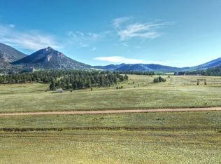11937 Jackson Rd, Hartsel, CO 80449