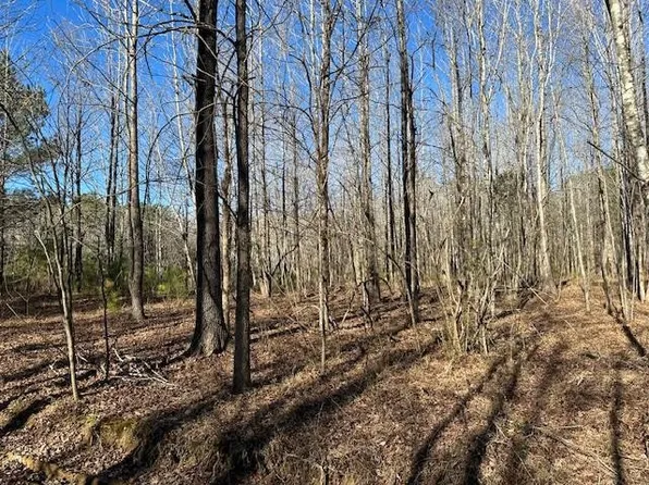 0 Raintree Dr Lot 126, Big Sandy, TN 38221