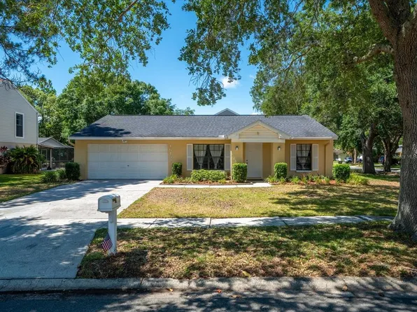 16132 Country Crossing Dr, Tampa, FL 33624