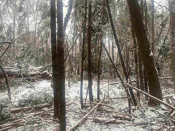 3rd image of LOT 9 Highway 357
