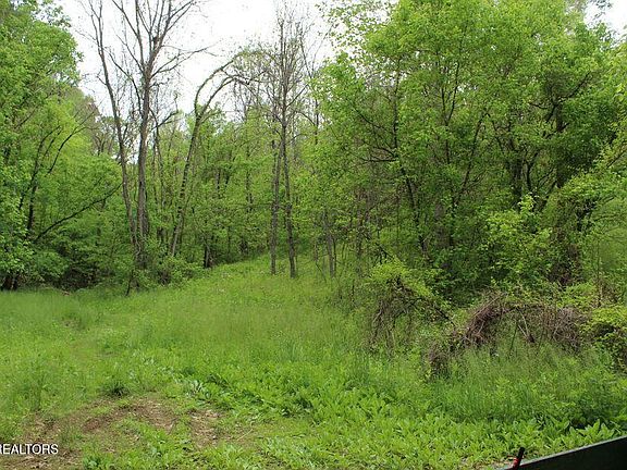 2nd image of Leatherwood Rd