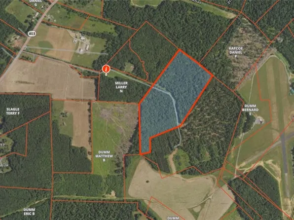 Along Bird Ln, Strongstown, PA 15957