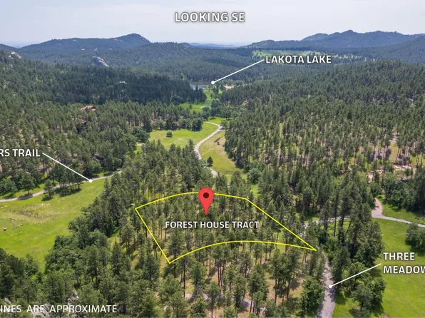 13270 Three Meadows Rd, Custer, SD 57751