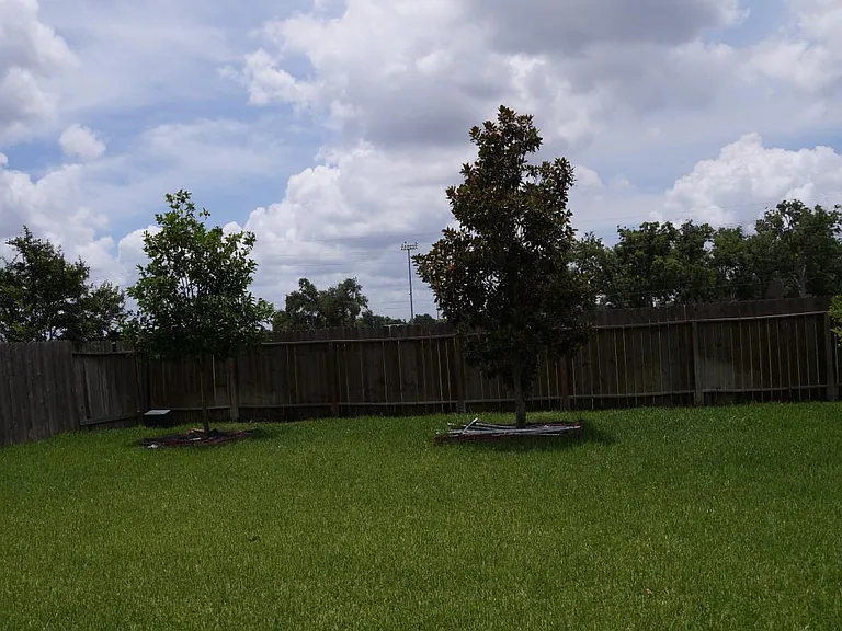Quite backyard without neighbor