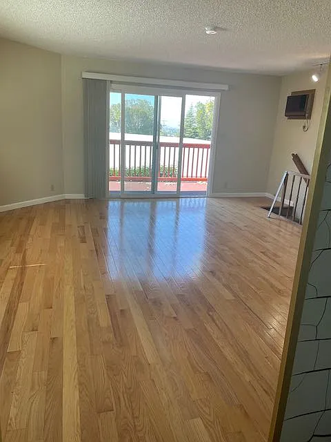 42428 Alvaniece Ct — Photo 4