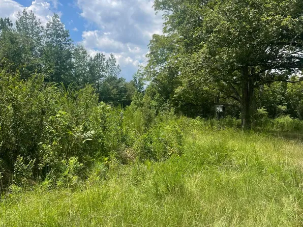 340 Kennedy Road, Eagle Springs, NC 27242