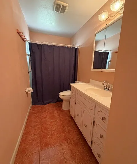 Guest/hall bathroom.