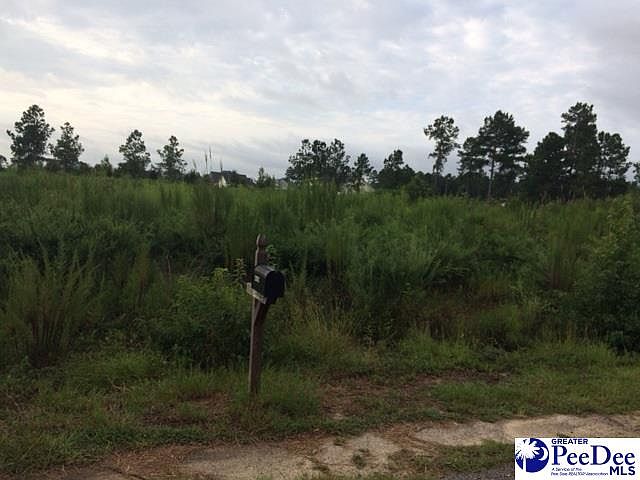 2nd image of Deer Run Dr