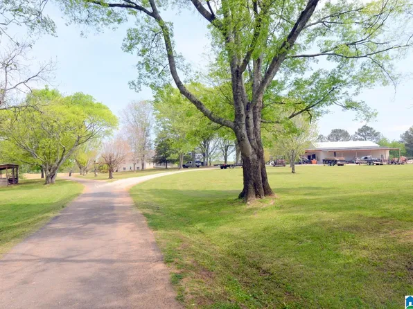 60 Robertson Rd, Wilsonville, AL 35186