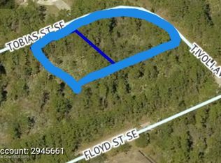 692 Tobias St SE, Palm Bay, FL 32909