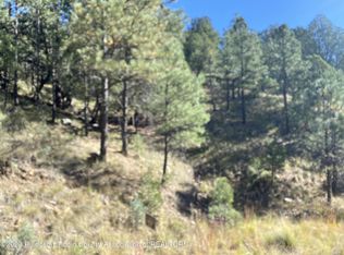 72 Lake Shore Dr, Alto, NM 88312