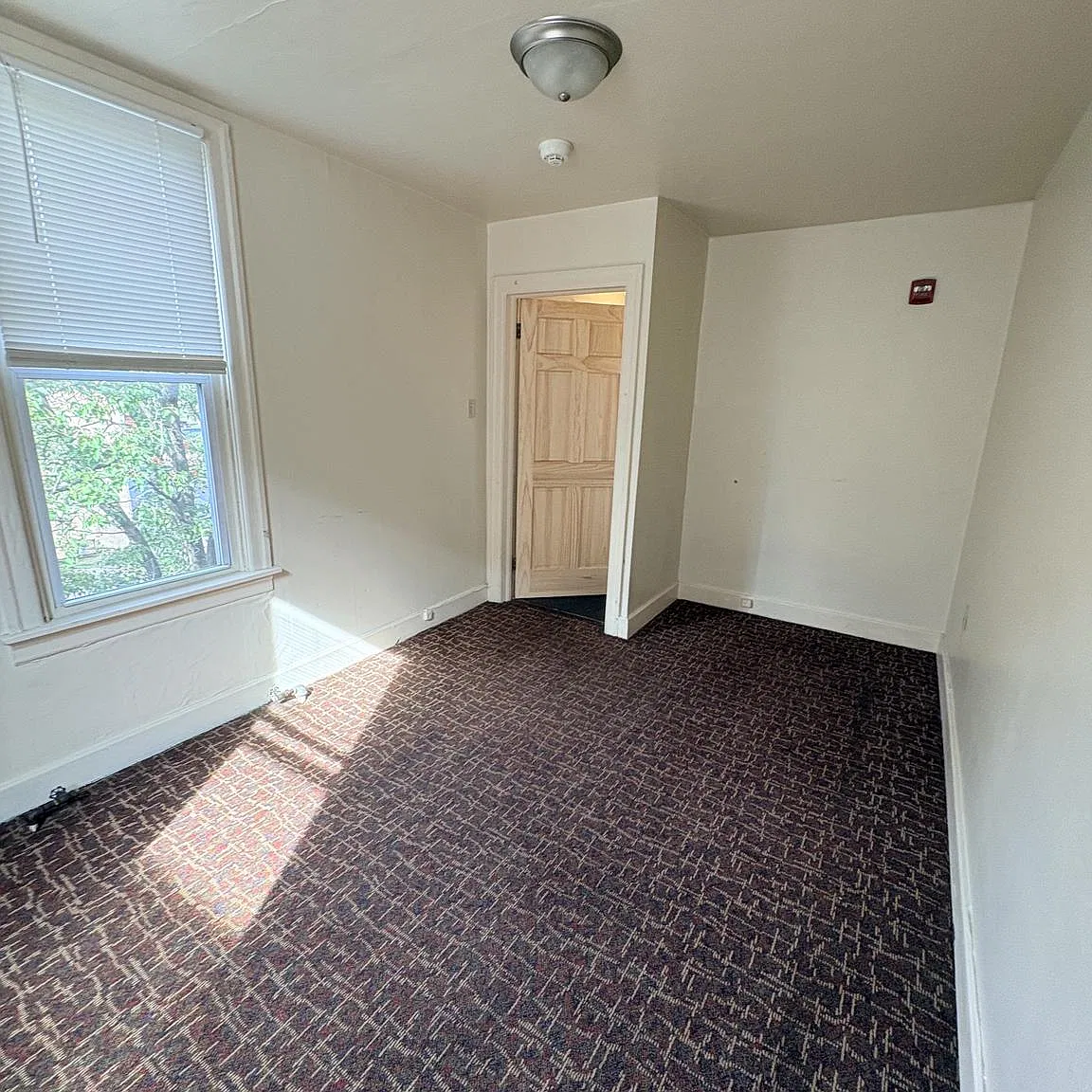 1 bed, 1.0 bath, 3900 sqft, $950 — Photo 3