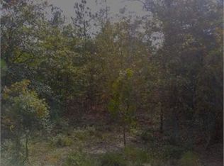 920 Rish Dr, Leesville, SC 29070