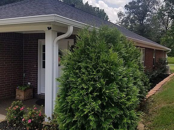 5th image of 110 Kaki Ln