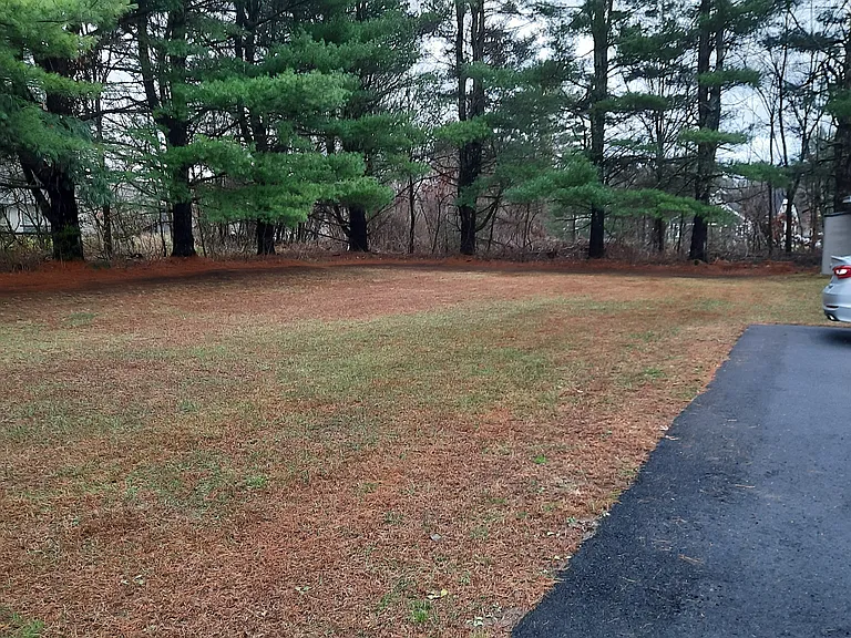29B Plumtree Rd #B — Photo 13
