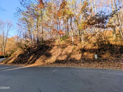 483 School House Gap Rd House Gap, Sevierville, TN, 37876