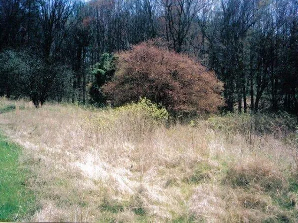 Marcum Rd, Oneida, TN 37841