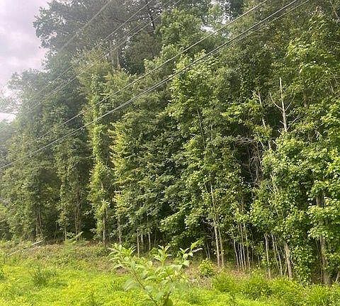 3rd image of 0 Butner Rd