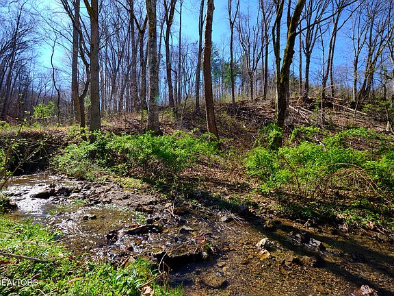 2nd image of 3212 Long Hollow Rd