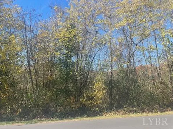 0 Patricia Dr Lot 7 & 8, Covington, VA 24426