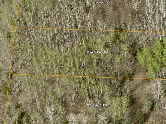 4th image of LOT 7 Lund Rd