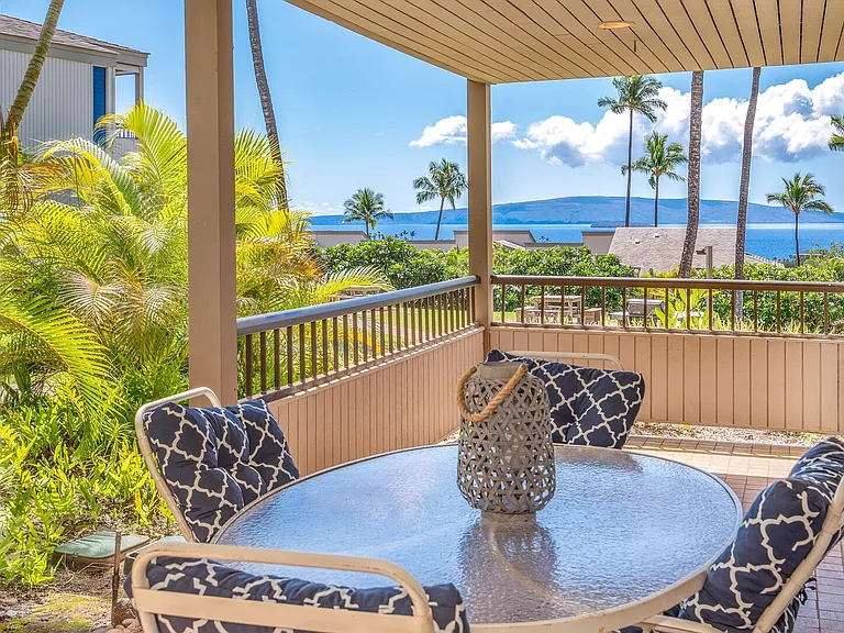 Wailea Ekolu Pl — Photo 40