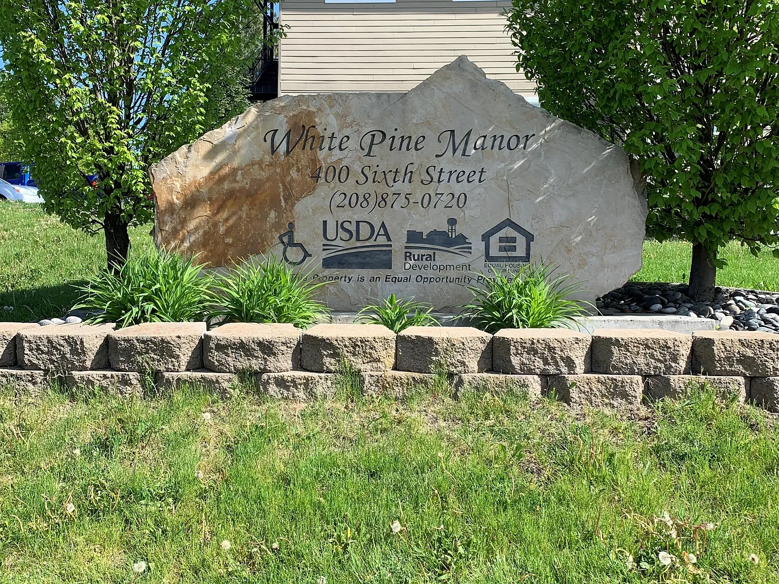 White Pine — Photo 1