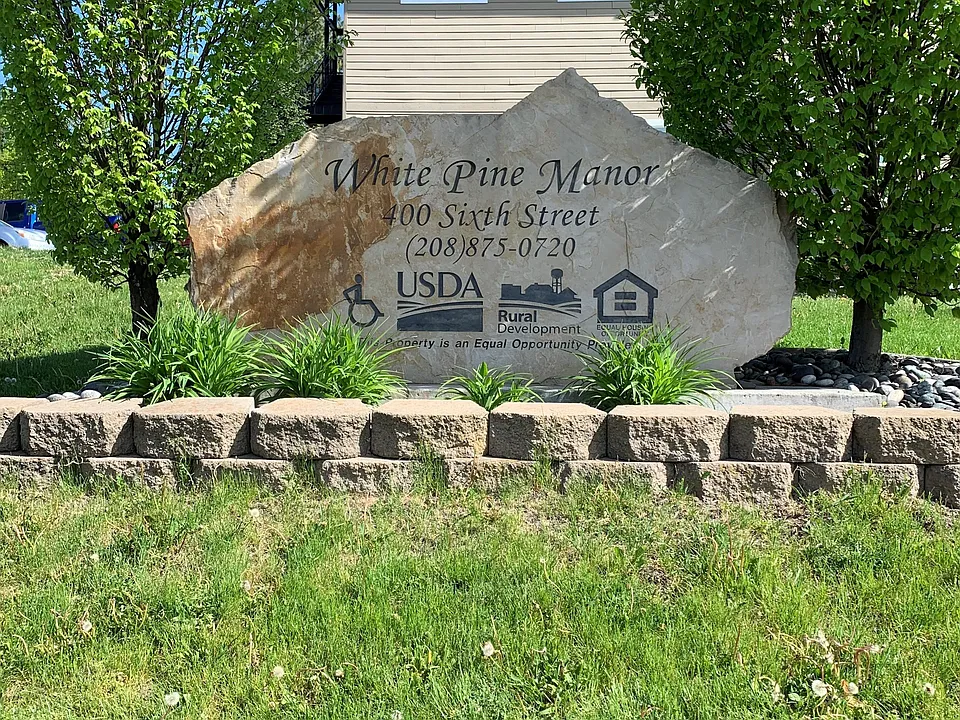 White Pine