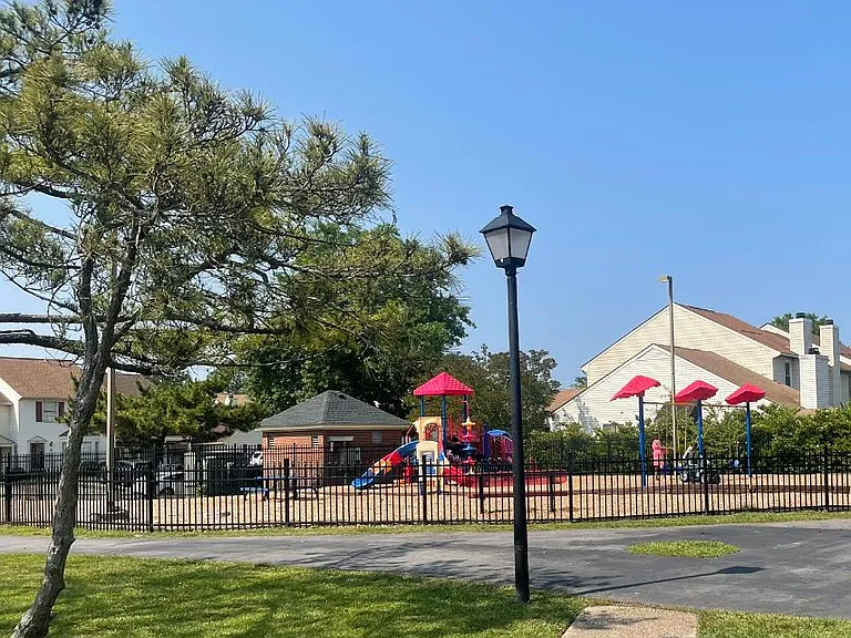 The park