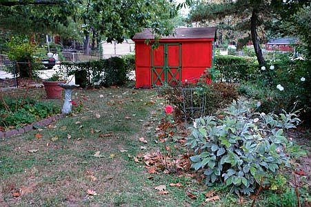 shed, great for storage, gardens