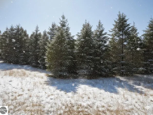 10.25 N 2 1/2 Rd, Buckley, MI 49620