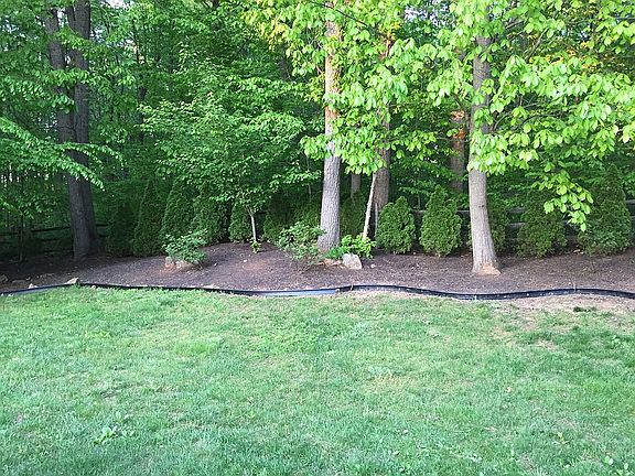 Back Yard Middle View