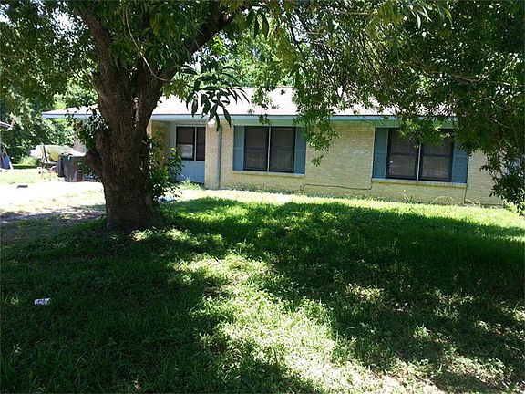 Beautiful shade tree!