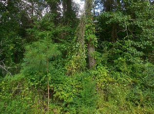 291 L Denson Rd, Coldspring, TX 77331