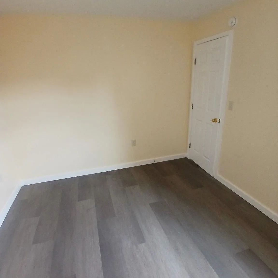 1 bed, 1.0 bath, 600 sqft, $775 — Photo 4