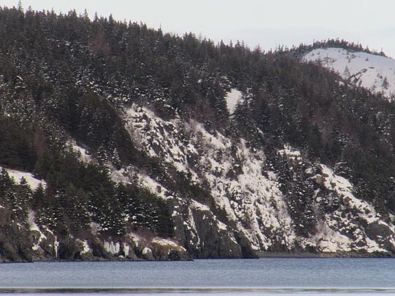 4th image of 2 Penney's Road