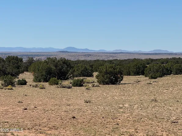 Lor 736 Woodland Valley Ranch -- #736, St Johns, AZ 85936