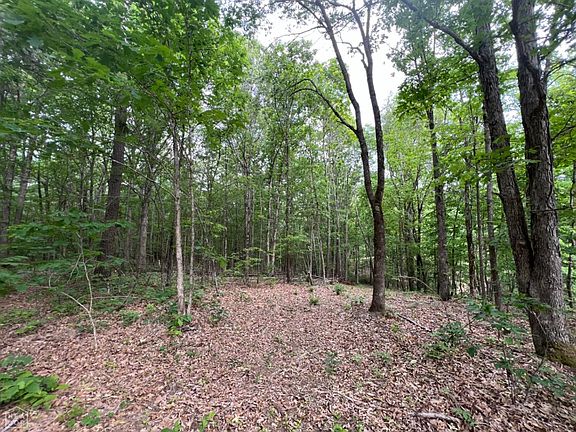 3rd image of 8299 Oak Creek Ln