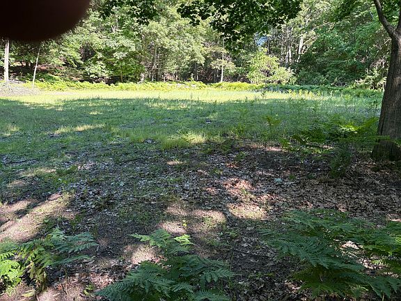 5th image of W Shelby Rd