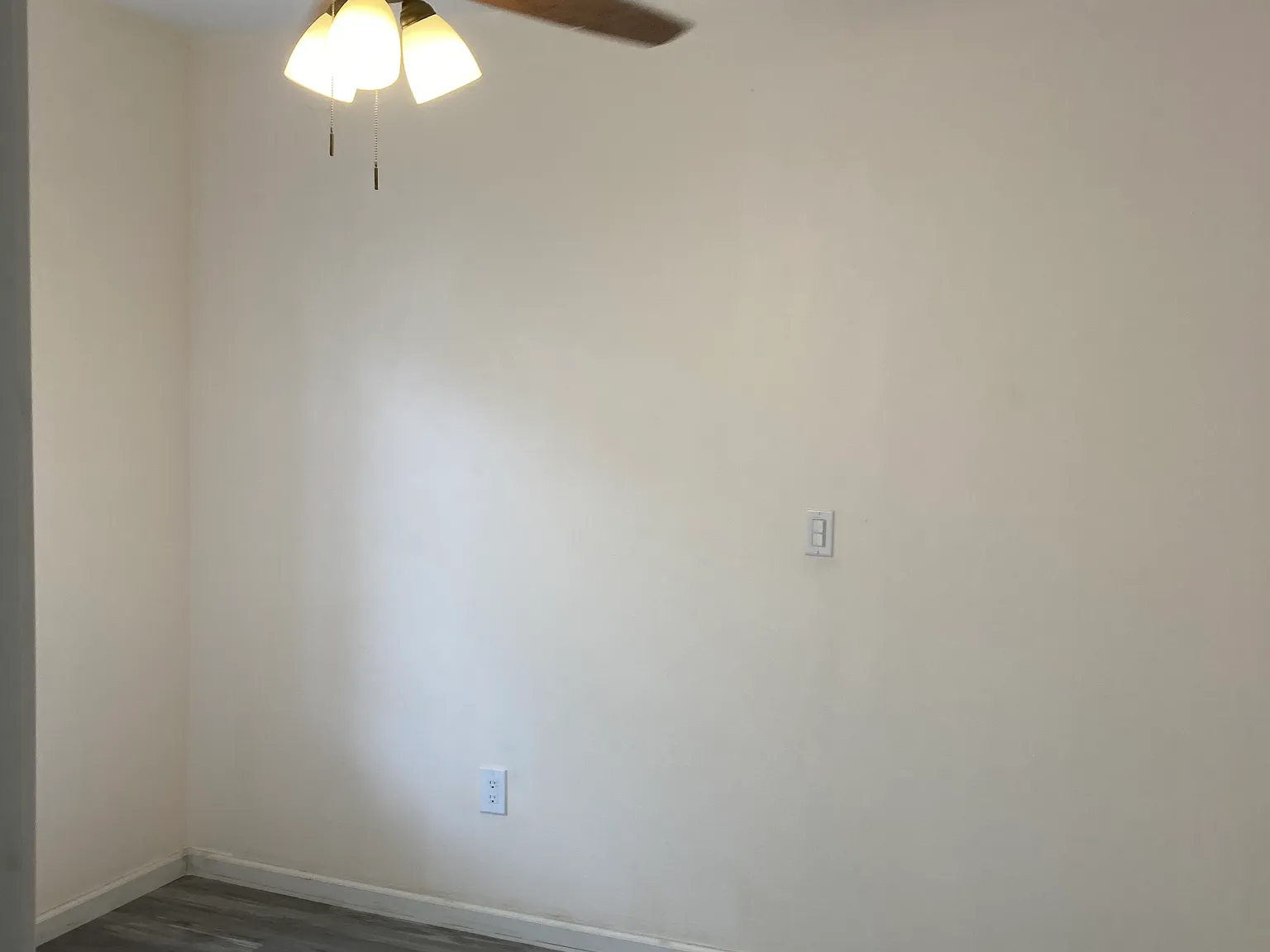 1 bed, 375 sqft, $1,500 — Photo 2