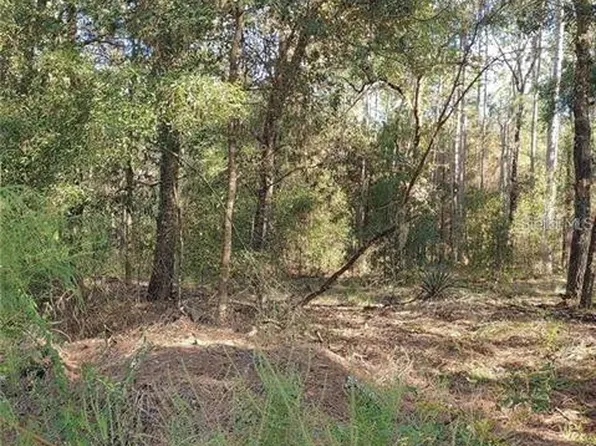 SW 19th Pl Lot 6, Ocala, FL 34481