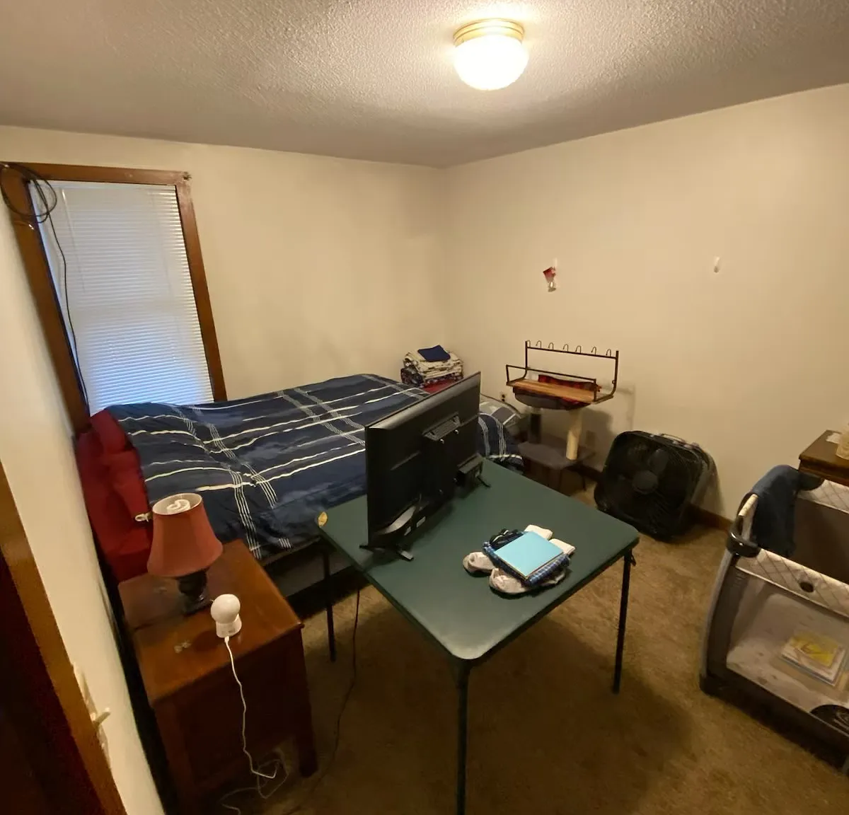 1 bed, $1,100 — Photo 3