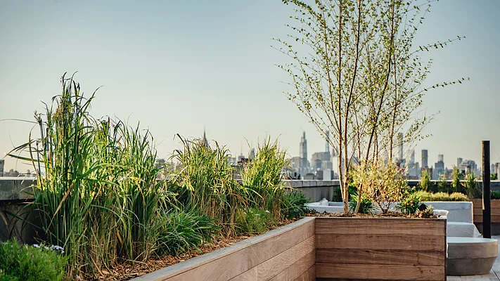 Rented by Nooklyn NYC LLC | media 48