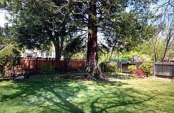 2nd image of 3358 Mildred Ln