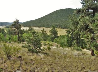 43 Vigilante Ave, Bailey, CO 80421